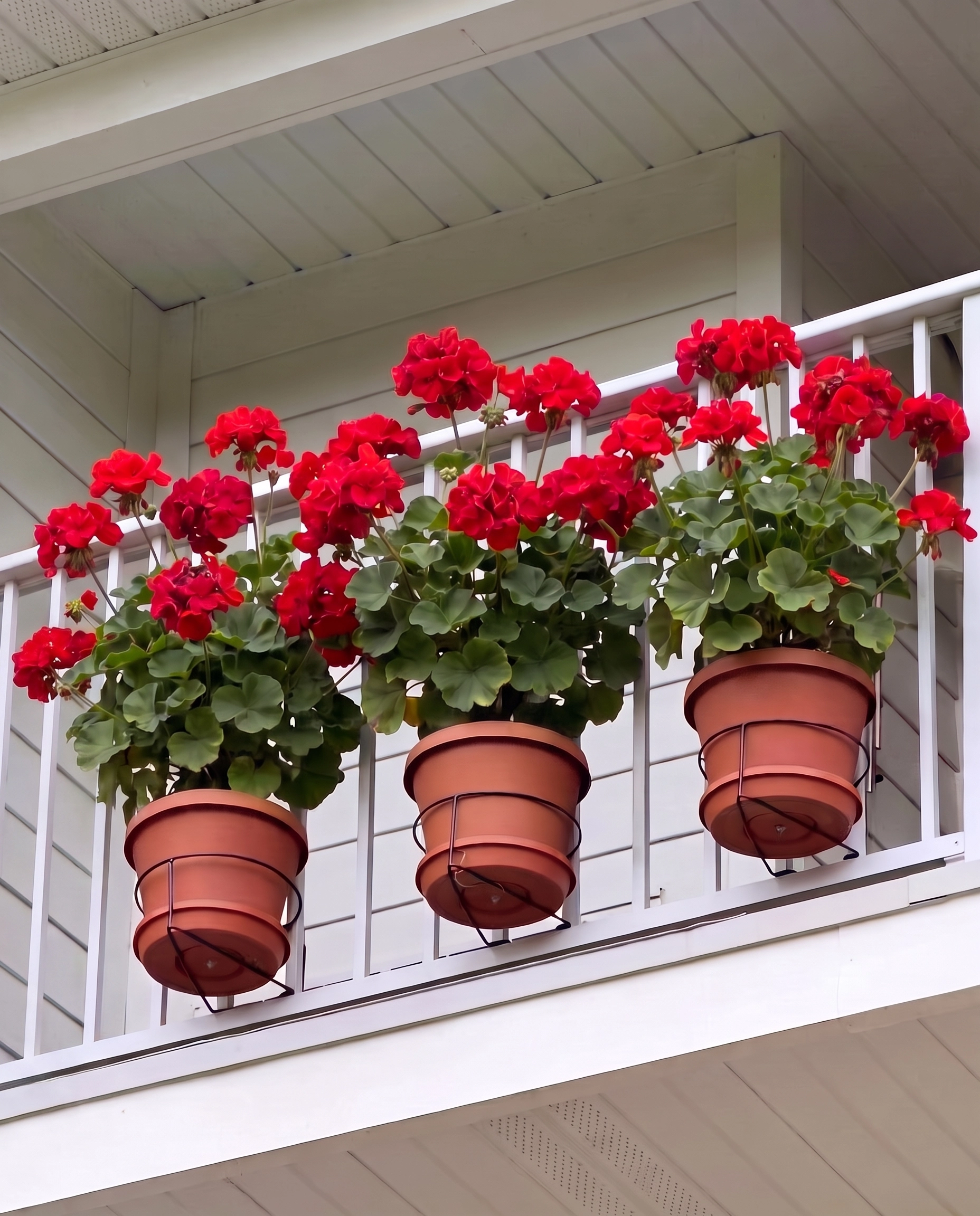 3’lü Orta-Küçük Boy Yuvarlak Saksı Askılığı - Balkon Demiri, Panel Çit ve Korkuluklar İçin Geçmeli Saksı Tutucu Askı Aparatı, 20 cm Çap, 10 cm Derinlik, Çelik, Elektrostatik Toz Boyalı